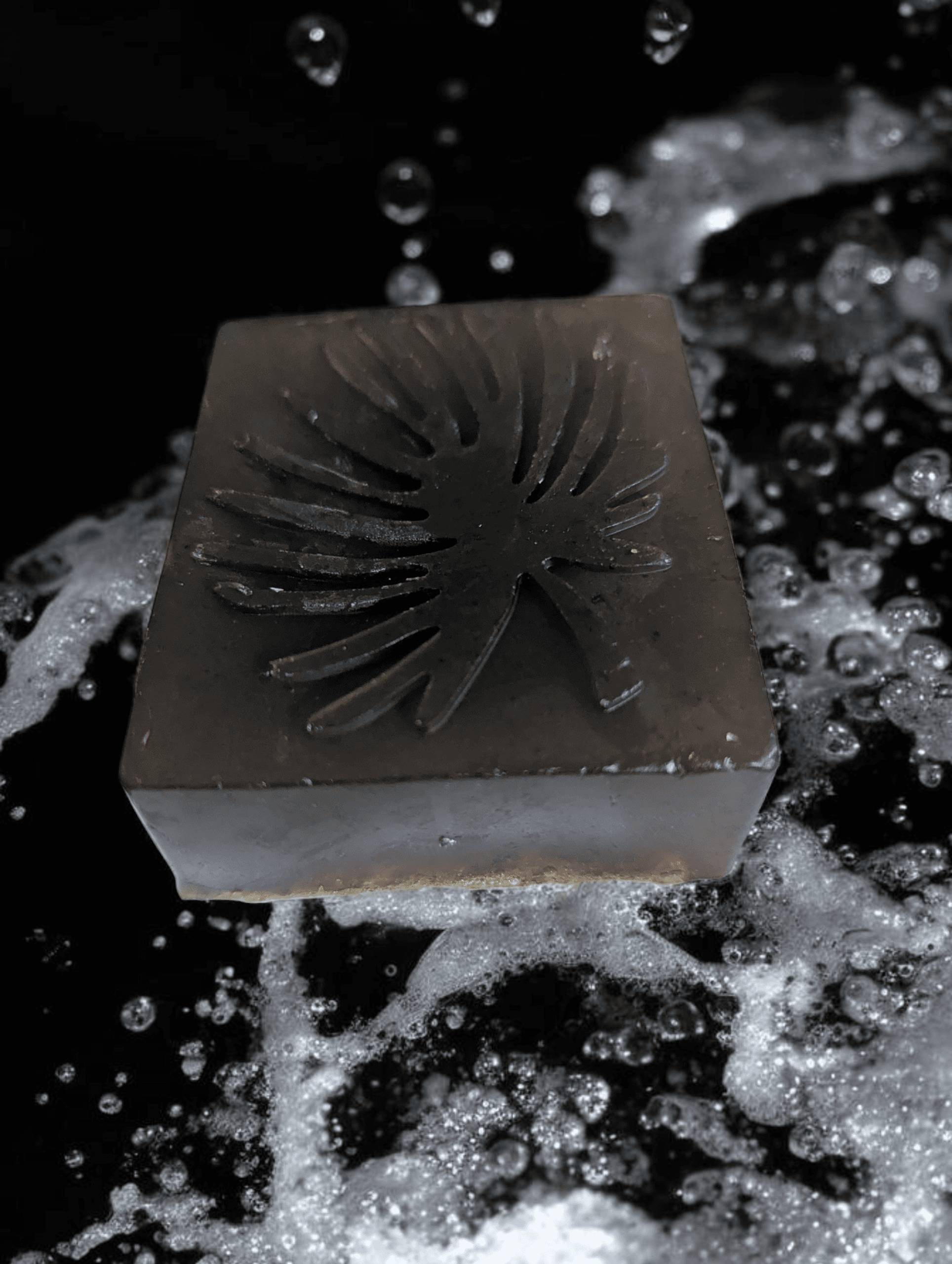 Shampooing solid